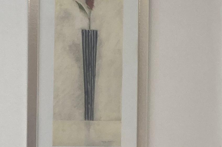 Gite des Cerisiers - foto 19