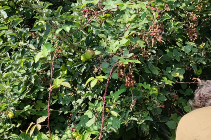 Gesellige Momente in der Nähe von Disneyland Paris - foto 16