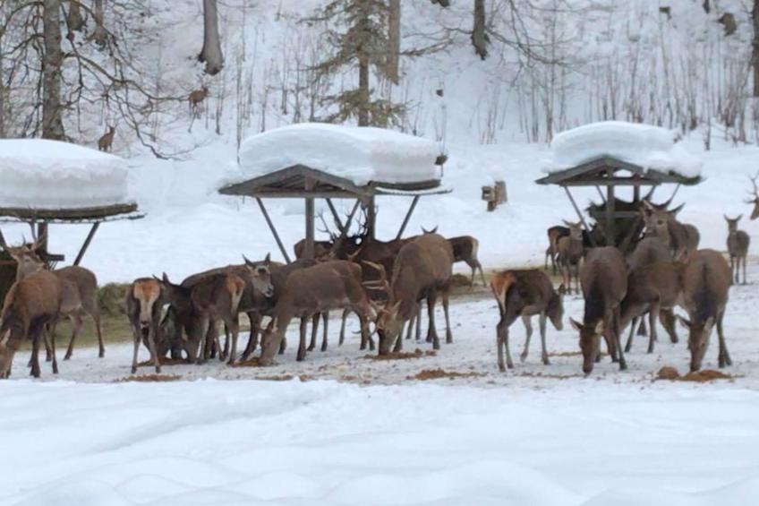 mit Blick auf das Wasser - foto 93