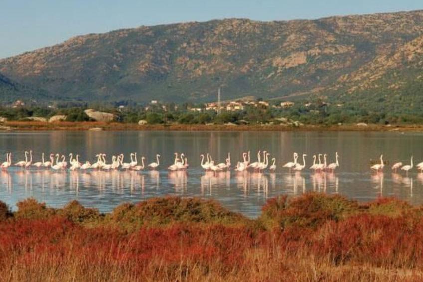 FERIENHAUS SARDINIEN SAN TEODORO - foto 22