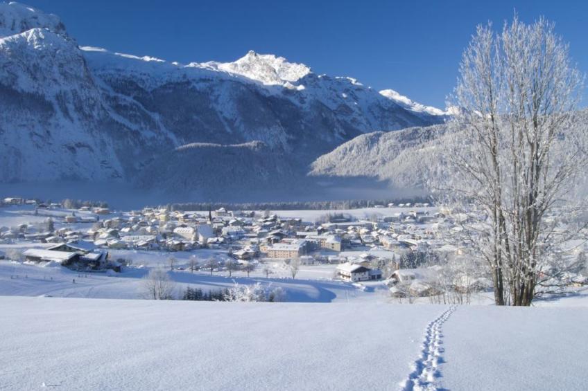 Appartement Bergkristall mit Gebirgsblick - foto 29