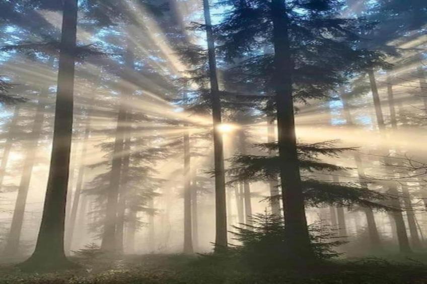 Appartement Eifelsteig - foto 24