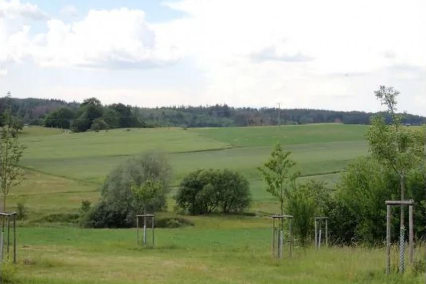 in Bernsfeld mit großem Garten - foto 14