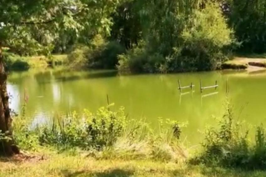 Smart Home Venezia, Europapark, Rulantica ca 15min - foto 14