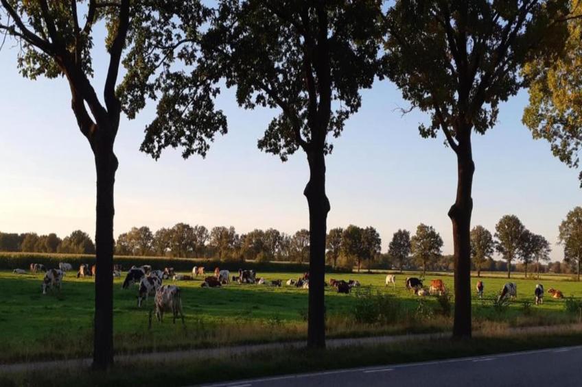 Vakantiepark Latour 4 - foto 36