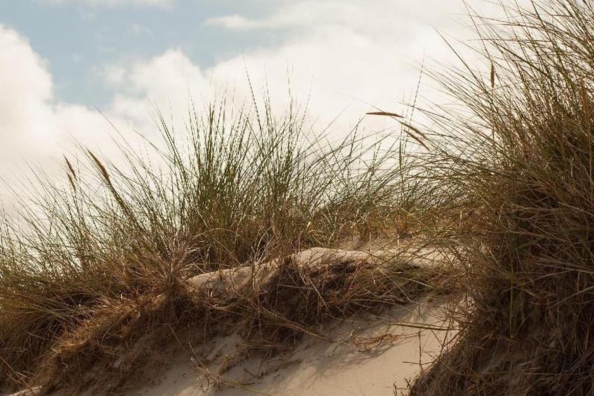 Strandhaus direkt am Meer - foto 29