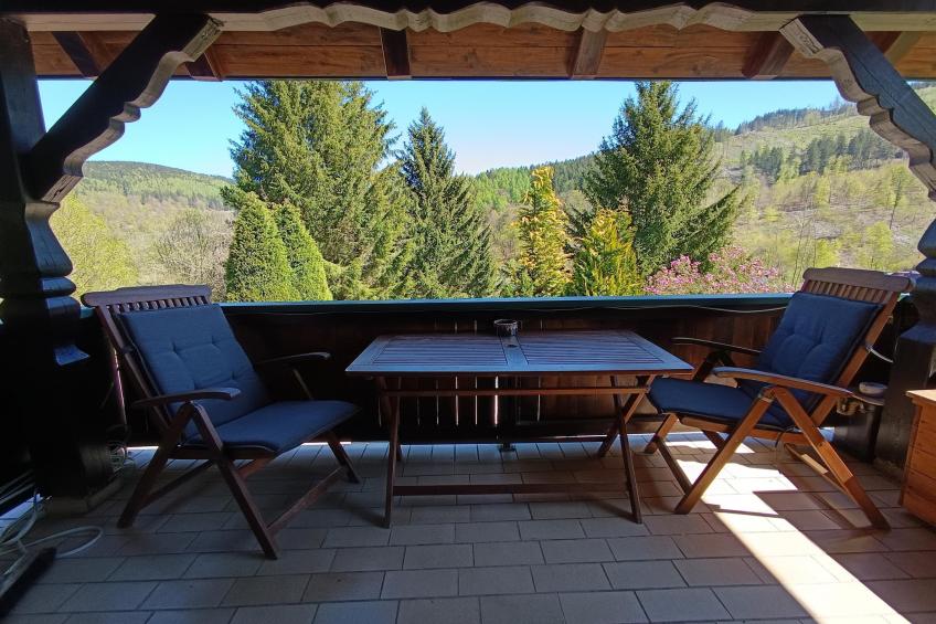 Vakantiehuis, Oberschönau - foto 27
