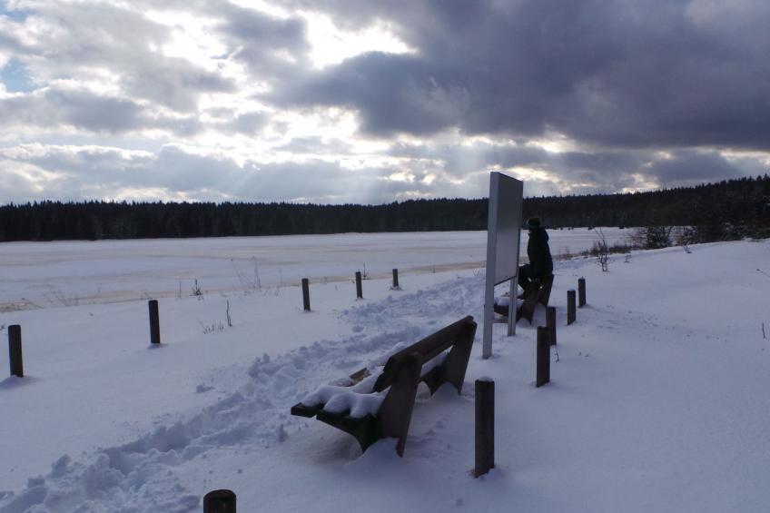 Fewo "Kranichsee WGH - foto 17