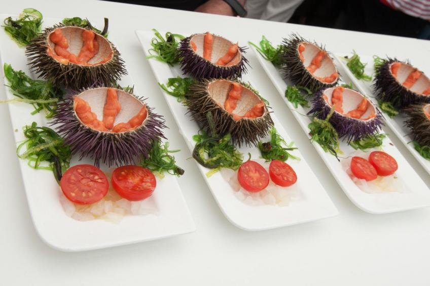 Ses Falguerines - foto 26