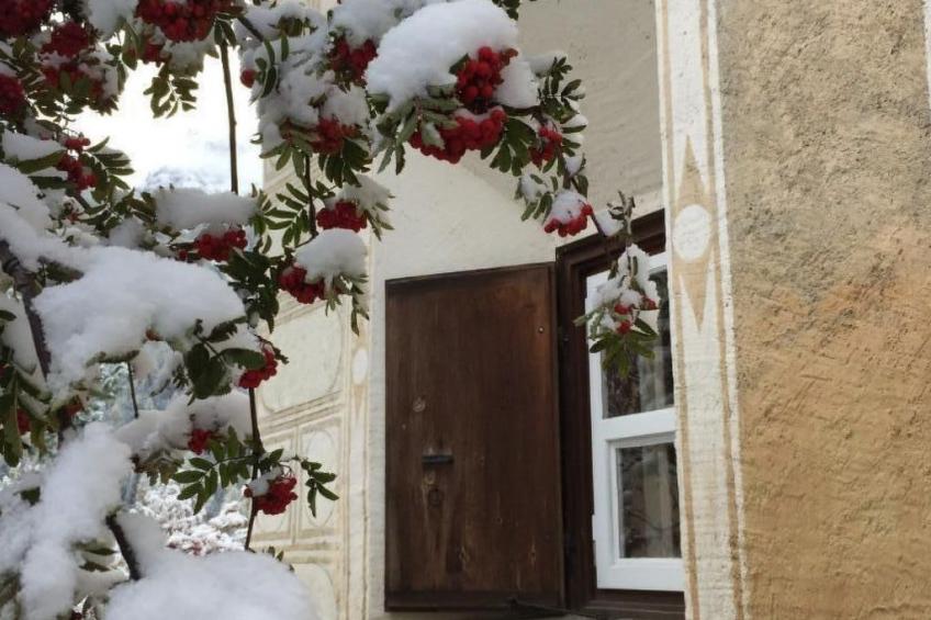 Chesa Delfins - foto 33