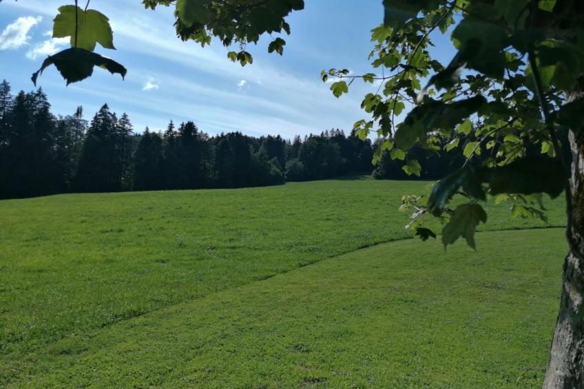 Appartement - Les Poingnats, (Les Breuleux), - foto 17