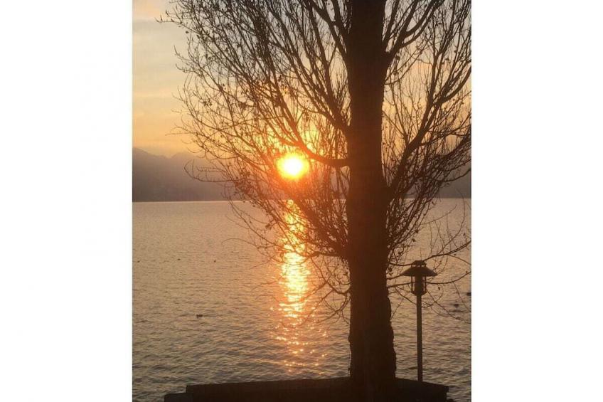 31007 - foto 32