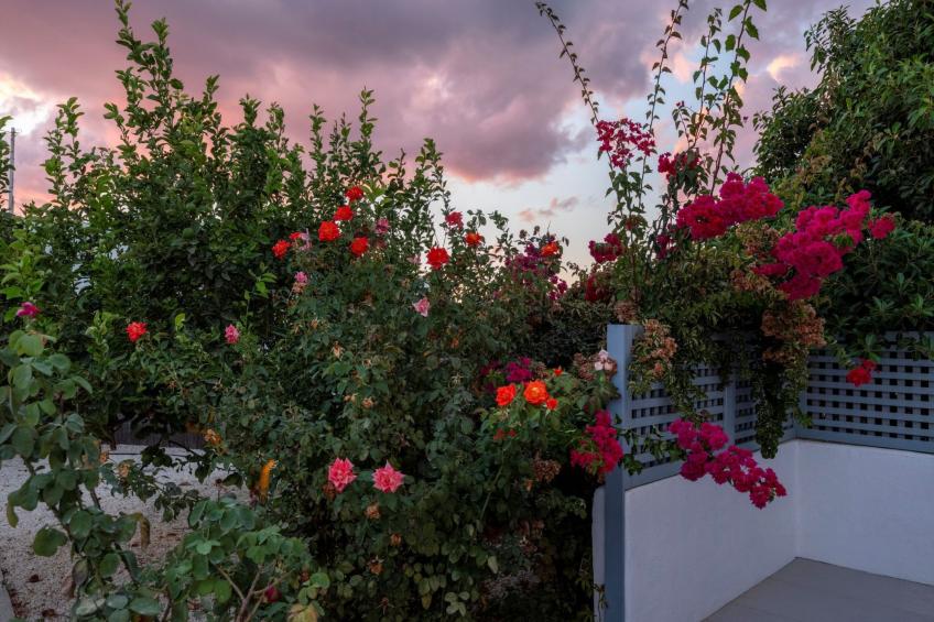 Sunset Gypsy stilvolles modernes Dorfhaus mit Whirlpool - foto 7