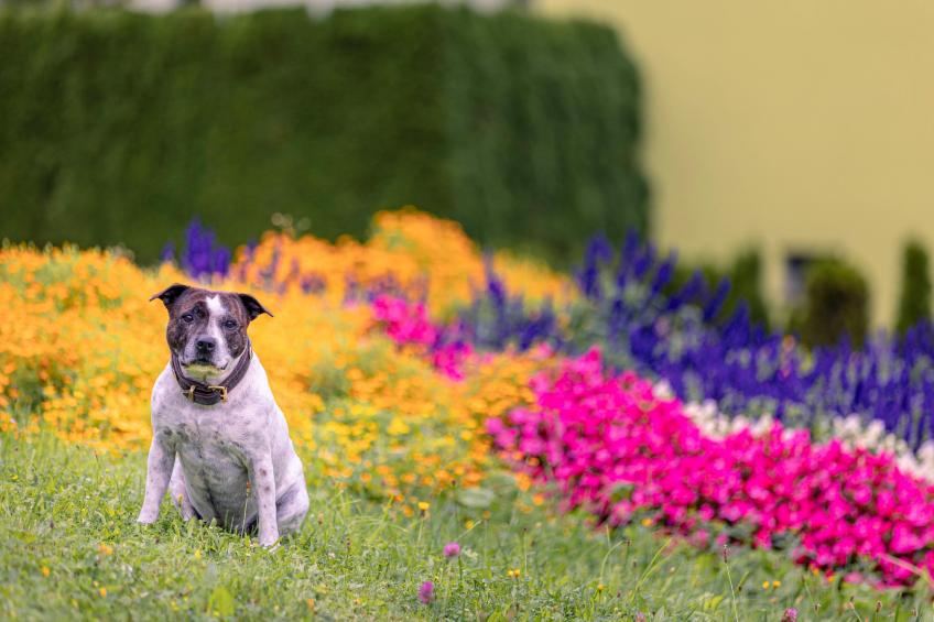 Erzberg Royal - foto 39