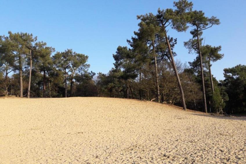Recreatiepark Duinhoeve 12 - foto 23