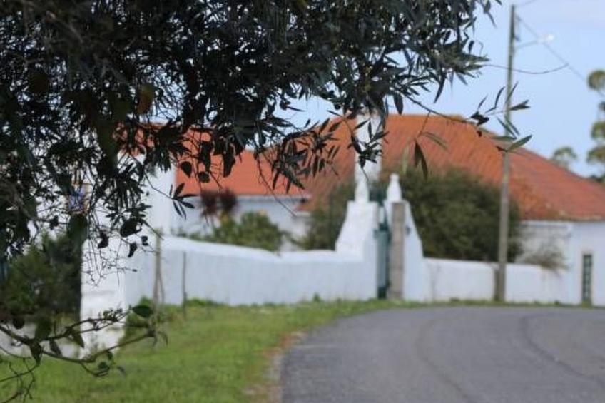 Landhaus mit Pool, in der Nähe von Montemor-o-Velho - foto 2