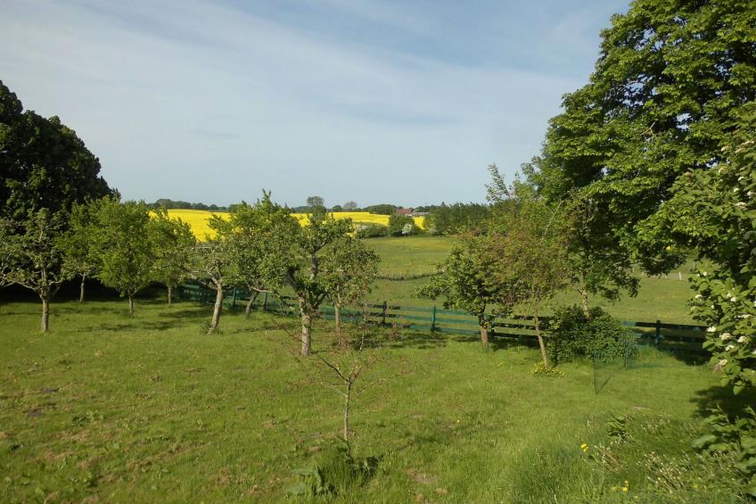 Haus in Zimmert mit Terrasse, Grill und Garten - foto 7