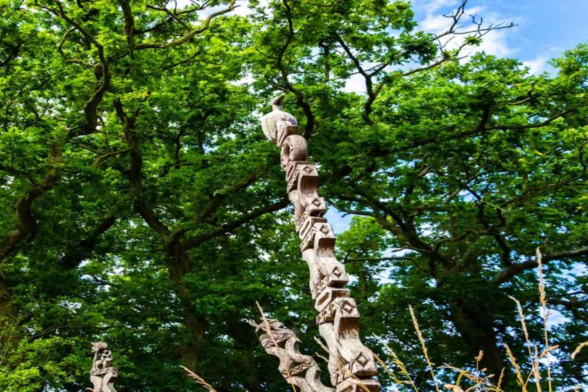 High Cloud Farm & Barn - foto 35