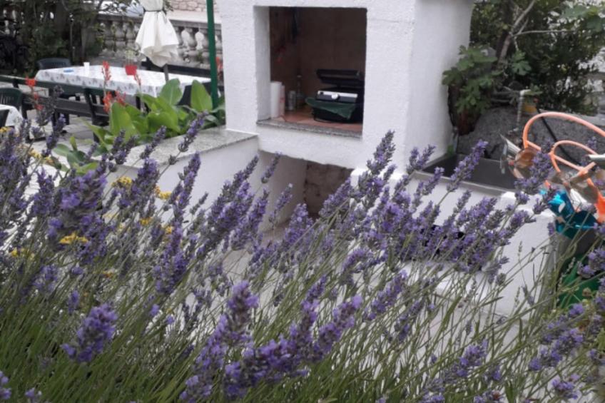 Apartment Daisy - foto 27