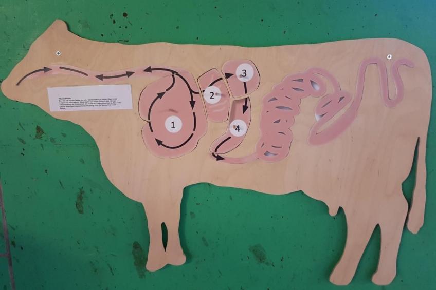 Ferien im Gugger - Wohnung Stockberg - foto 36