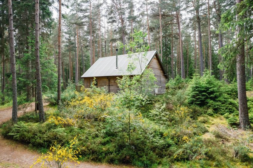 Red Squirrel Lodge - foto 24