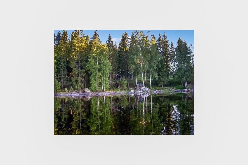 Mustikka, leppäniemen hirsihuvilat - foto 30