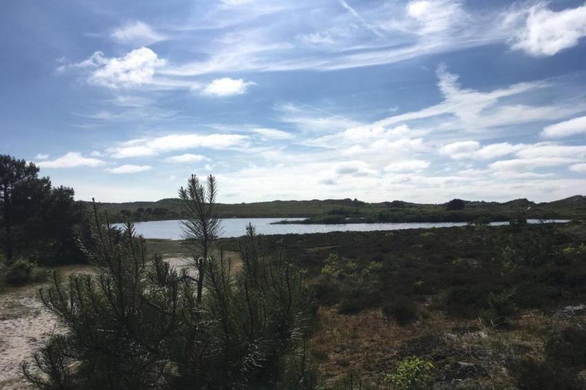 Wilca Hoeve - foto 33