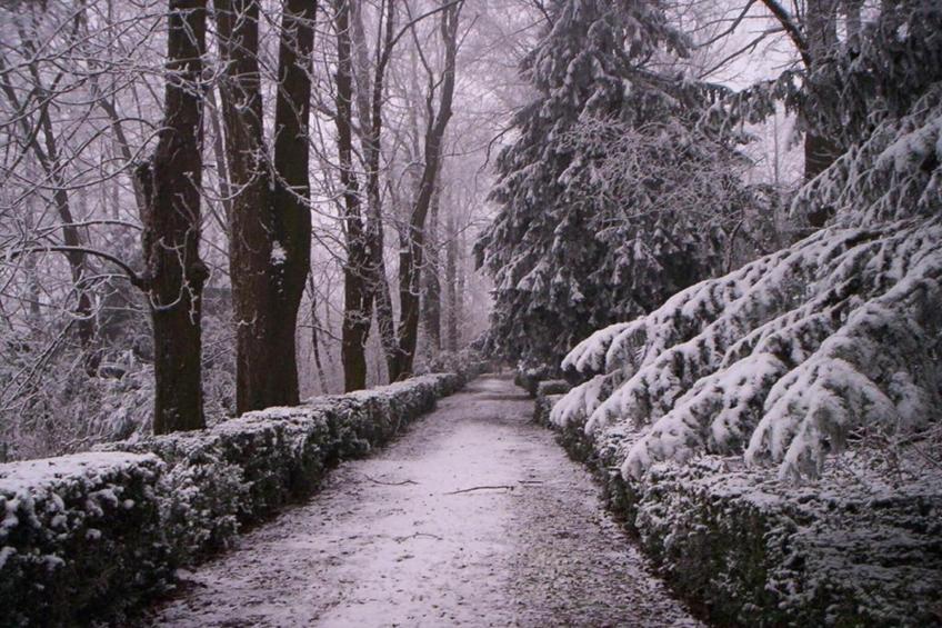 Castello di Robella - foto 38