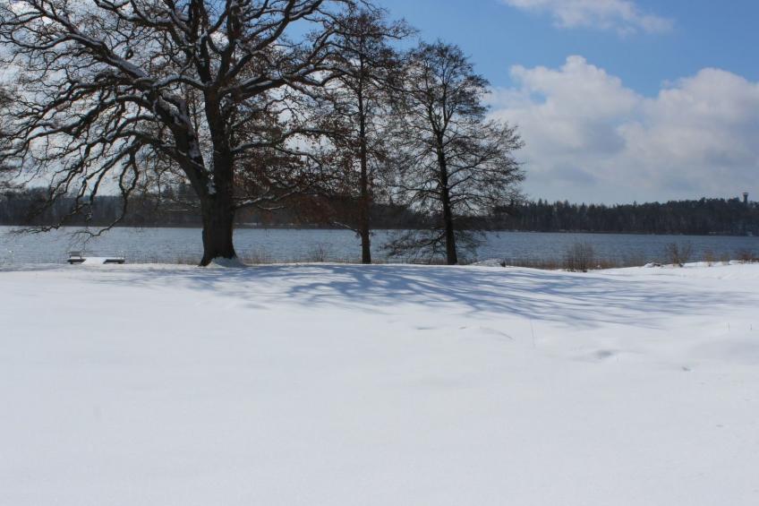 Residenz KrakowerSee - foto 8