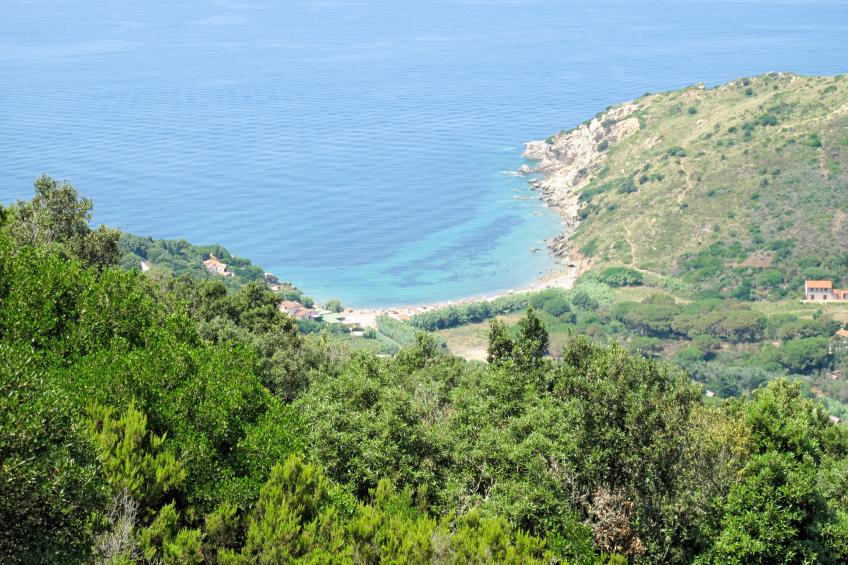 La Paradisa (NIP101) - foto 29