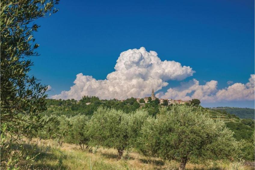 Villa Cristian - foto 40