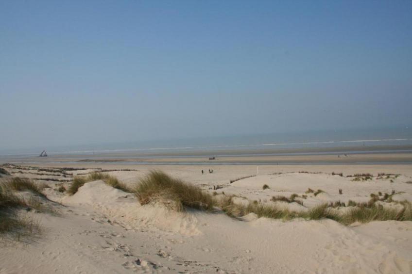 Villa Bos en Zee - foto 35