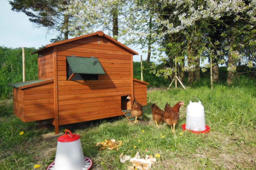 für 8 Personen - foto 21