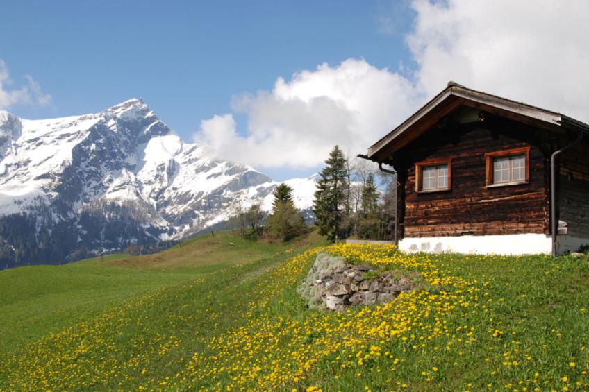 Maiensäss Casaritsch, (Urmein), - foto 6