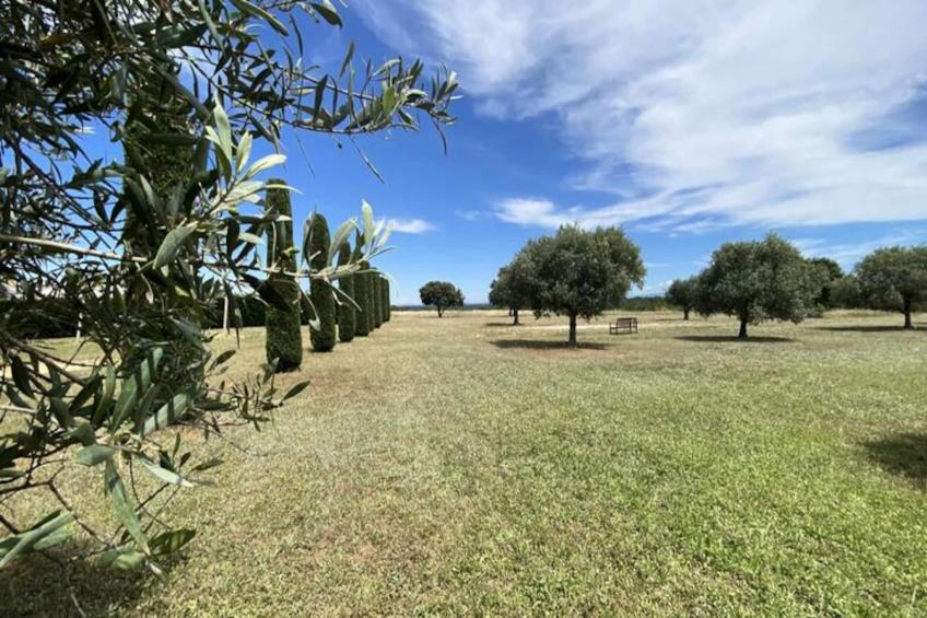 04b2 : Beau Studio Dans Un Mas Provençal - Piscine - foto 19