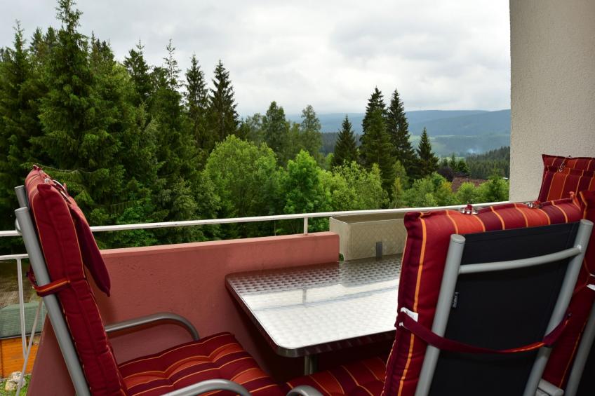 Apartment Black Forest Bollenhut Deluxe - foto 12