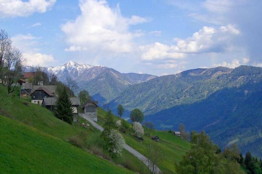 Waldblick in Steinfeld - foto 25