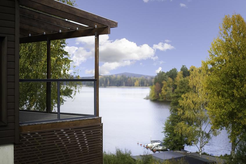 Villa koivu