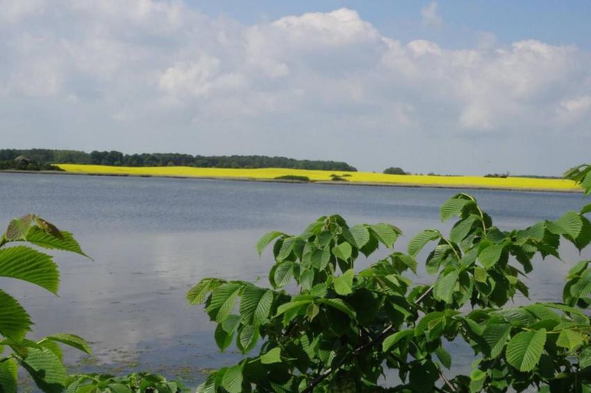 Urlaub am Meer im Ferienhaus mit Sauna - foto 9