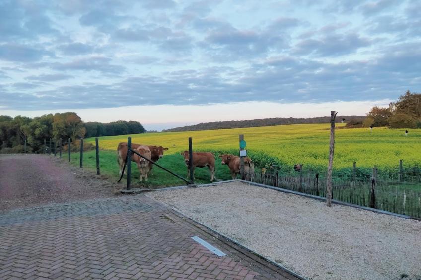 Logeren bij Laura - foto 27