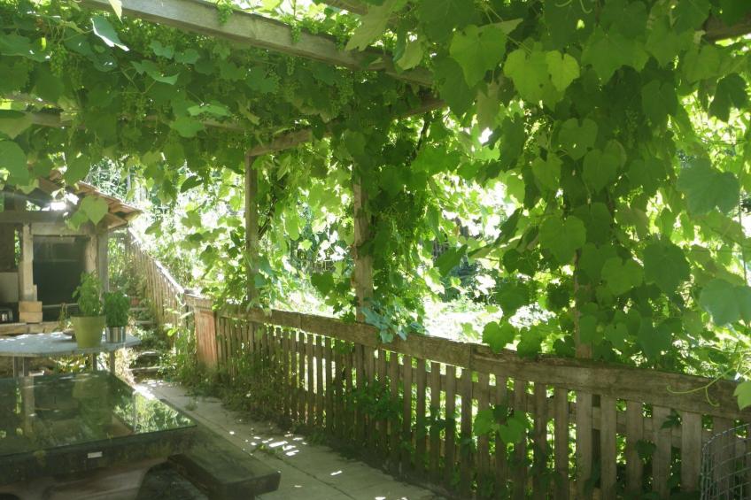 Appartements - Centre NatUrsanne, (St-Ursanne), - foto 13