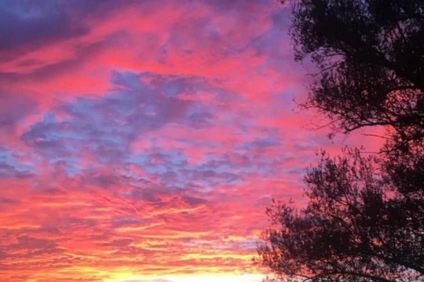 Bungalow Stuebner - foto 24