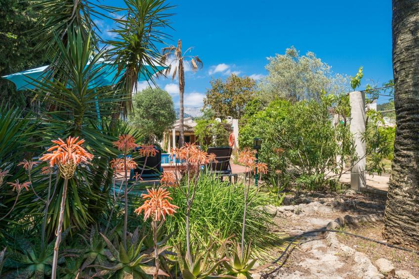 Ca Na Sioneta - foto 12