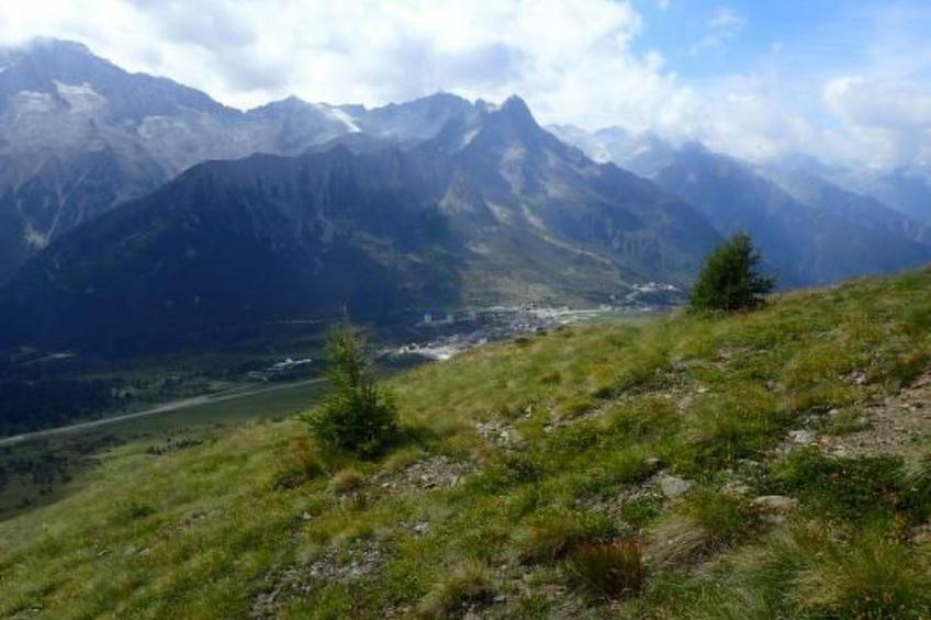 für 4 Personen ca. 28 m² in Passo del Tonale, Trentino (Val di Sole) - foto 19