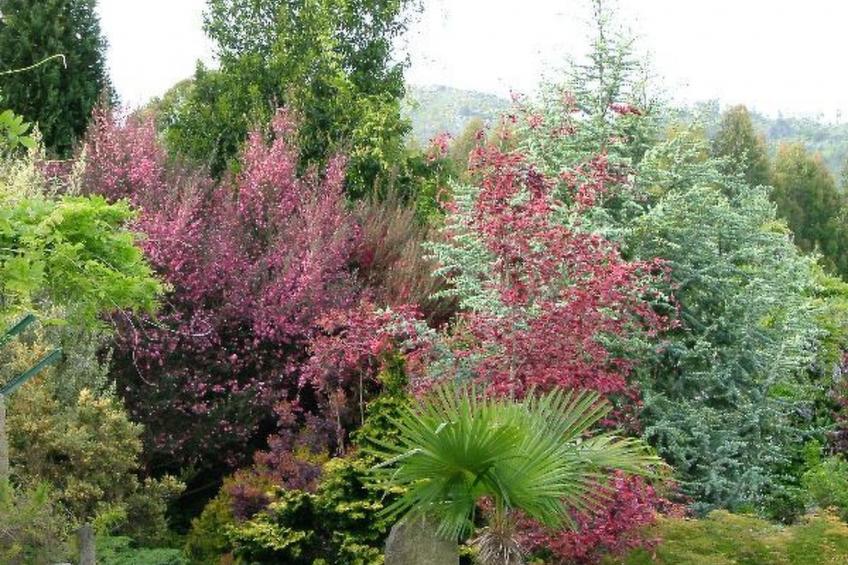 Finca "Quinta do Bento Novo" - foto 21