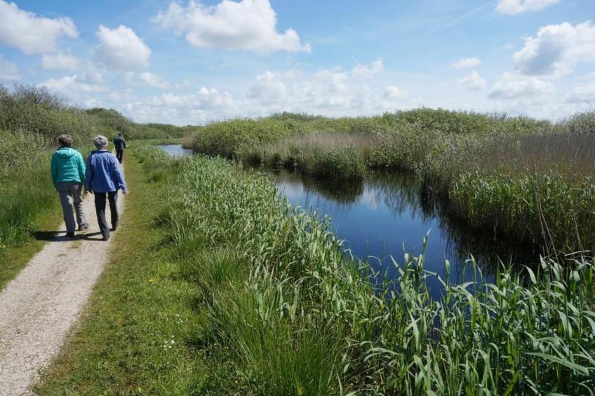 de Biotoop - foto 32