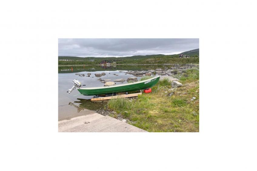 Haltinsaana - foto 38