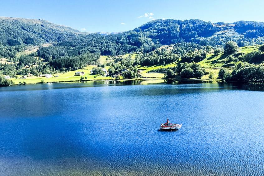 Samlen Vasselgård - foto 27