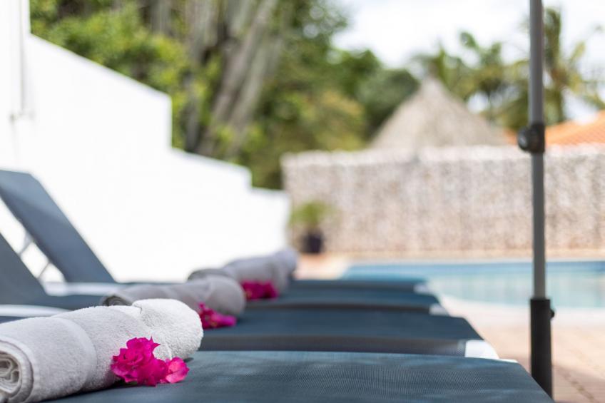 Villa Drumi Dushi met privé zwembad - foto 33