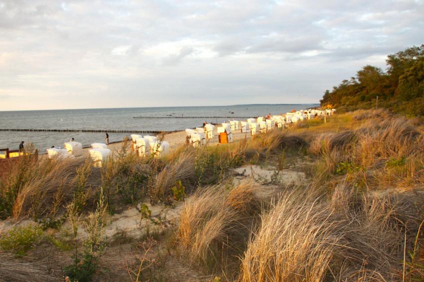 Inselhaus Piet auf der Insel Poel - foto 25